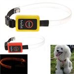 Dog Collar LED luminoso Coleira IPA-86959